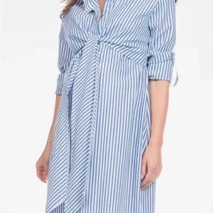 Seraphine Maternity and Nursing Blue Striped Shirt Dress